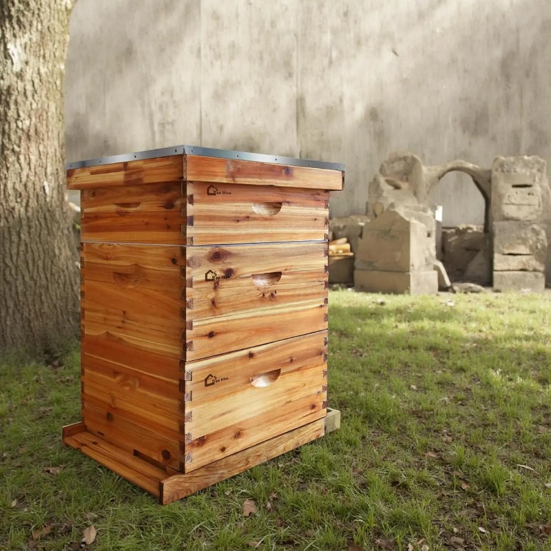 Beehive Frame Wax - طقم خلية نحل كامل بـ 10