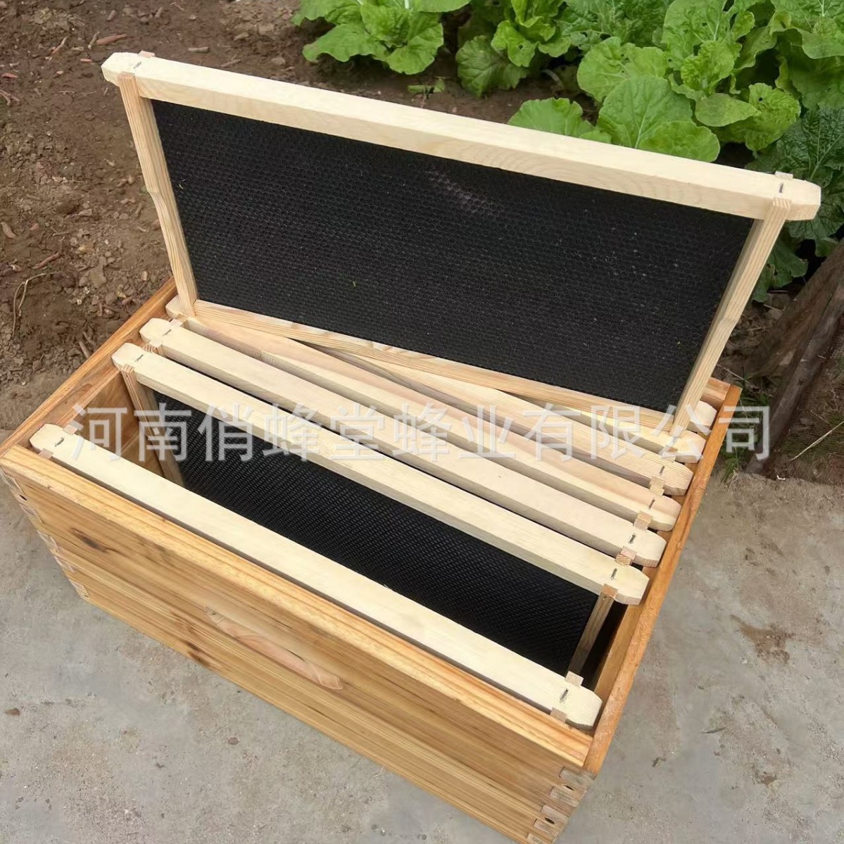 Beehive Frame Wax - أدوات تربية النحل: قاعدة خلية نحل