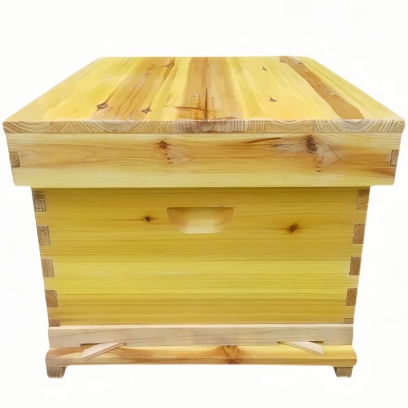 Beehive Frame Wax - خلية النحل في صندوق النحل، مجموعة