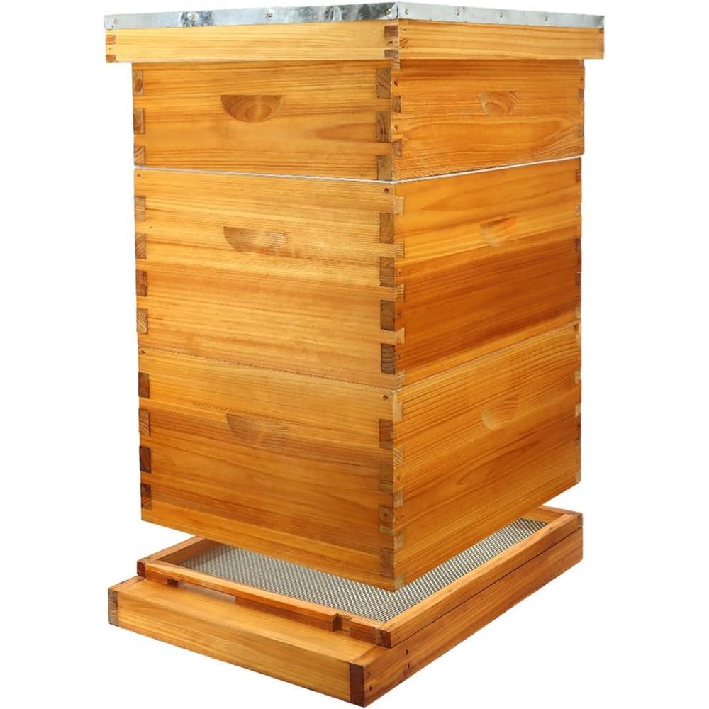 Beehive Frame Wax - طقم خلية نحل بـ 10 إطارات