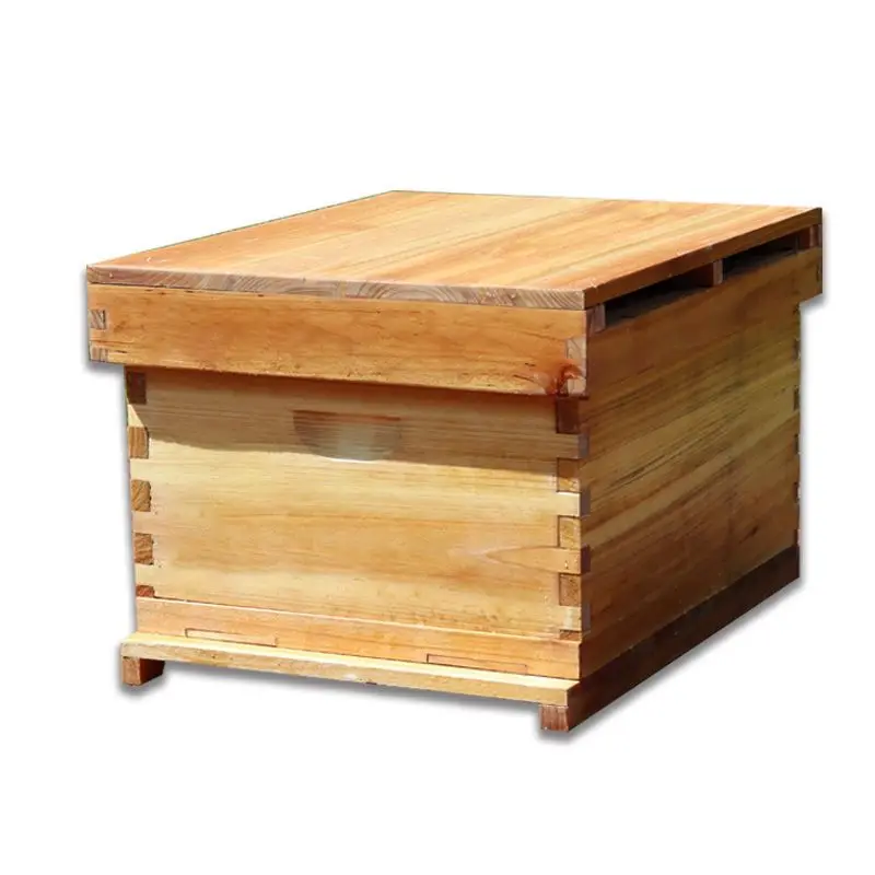 Beehive Frame Wax - خلية نحل من شمع مغلي بعشرة