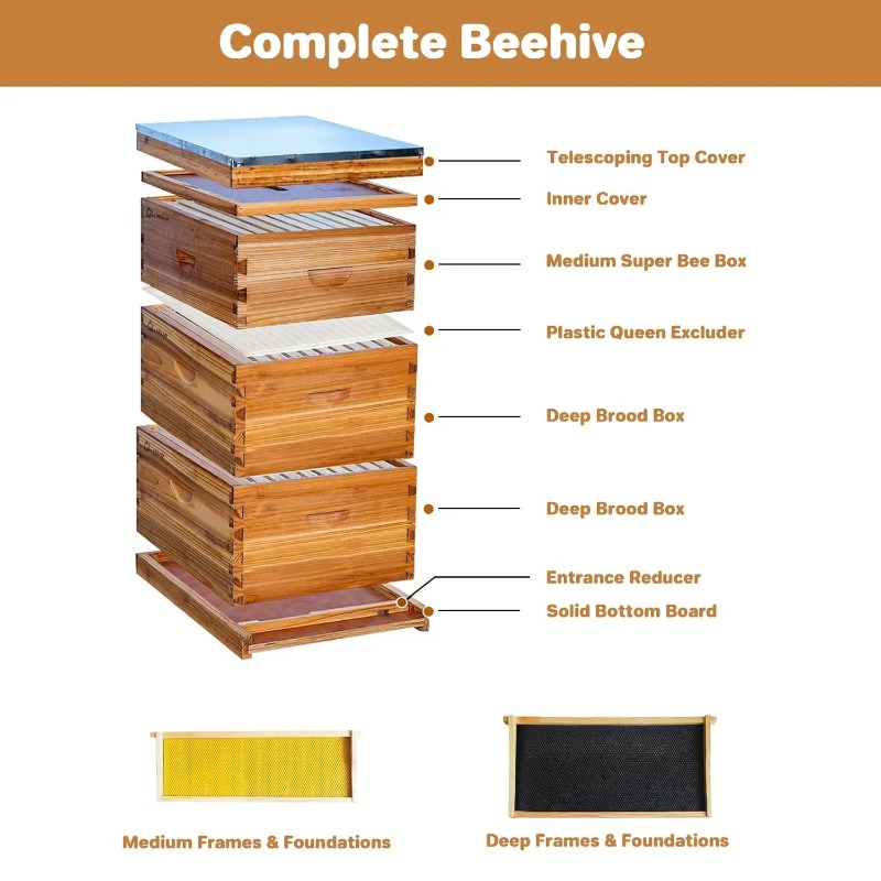 طقم خلية نحل كامل بـ 10 إطارات - مراجعة Beehive Frame Wax وسعره