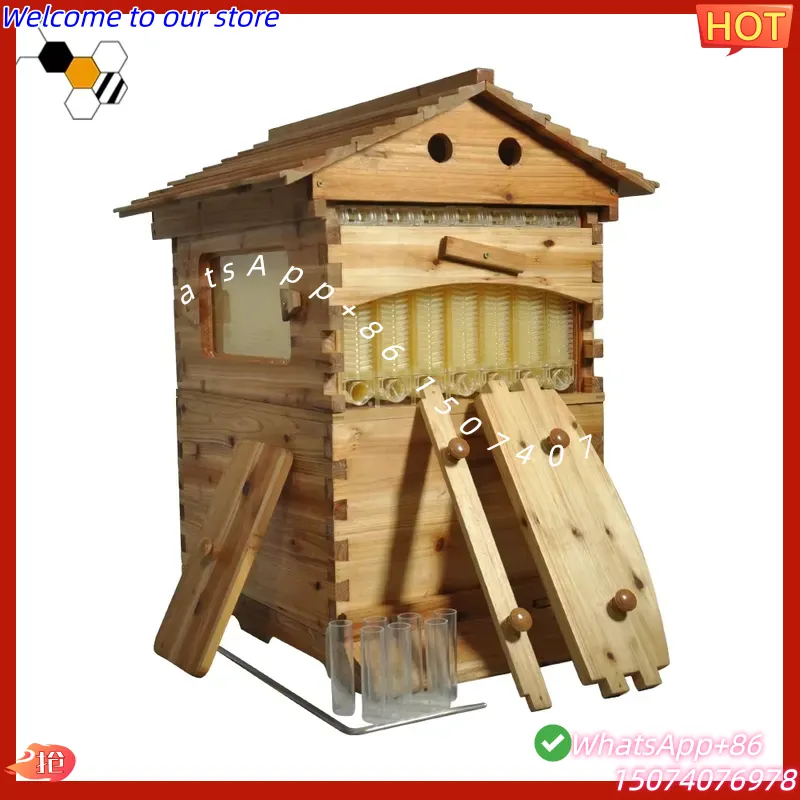2026 خلية نحل صينية ذاتية التد - مراجعة Beehive Frame Wax وسعره