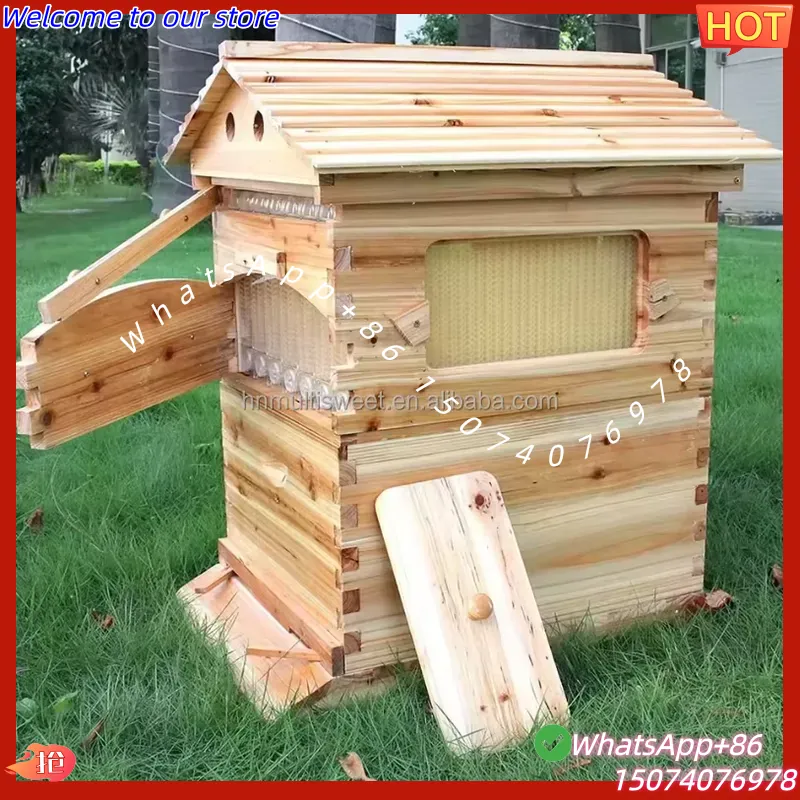 2026 خلية نحل صينية ذاتية التد - مراجعة Beehive Frame Wax وسعره