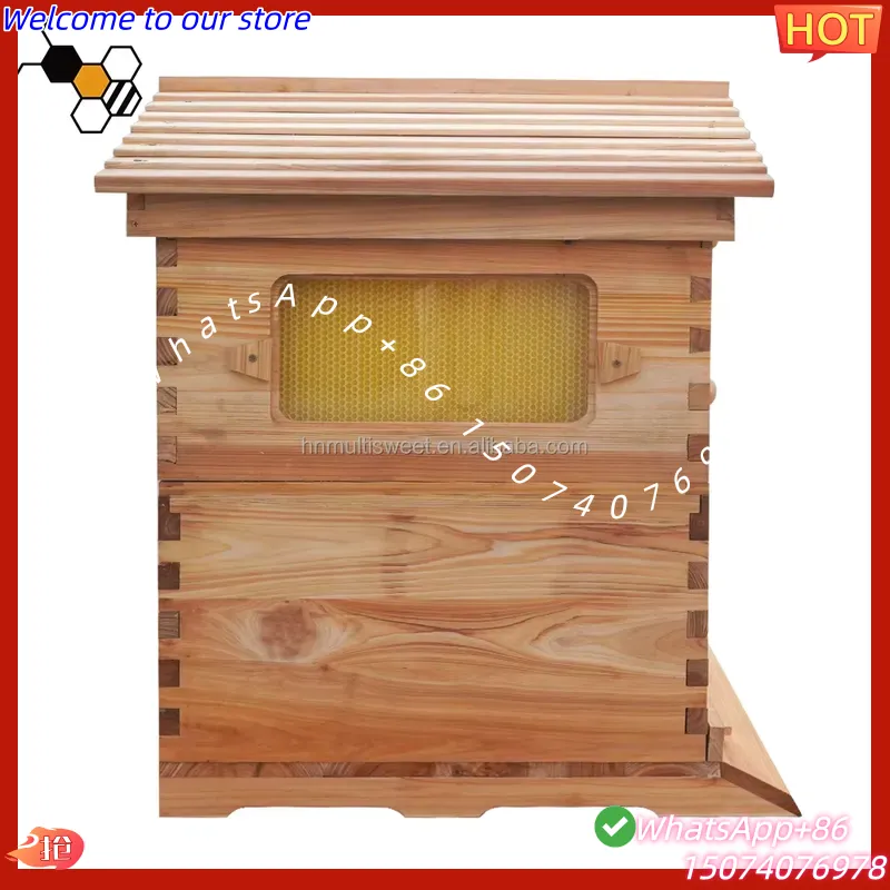 2026 خلية نحل صينية ذاتية التد - مراجعة Beehive Frame Wax وسعره