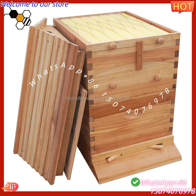 2026 خلية نحل صينية ذاتية التد - مراجعة Beehive Frame Wax وسعره