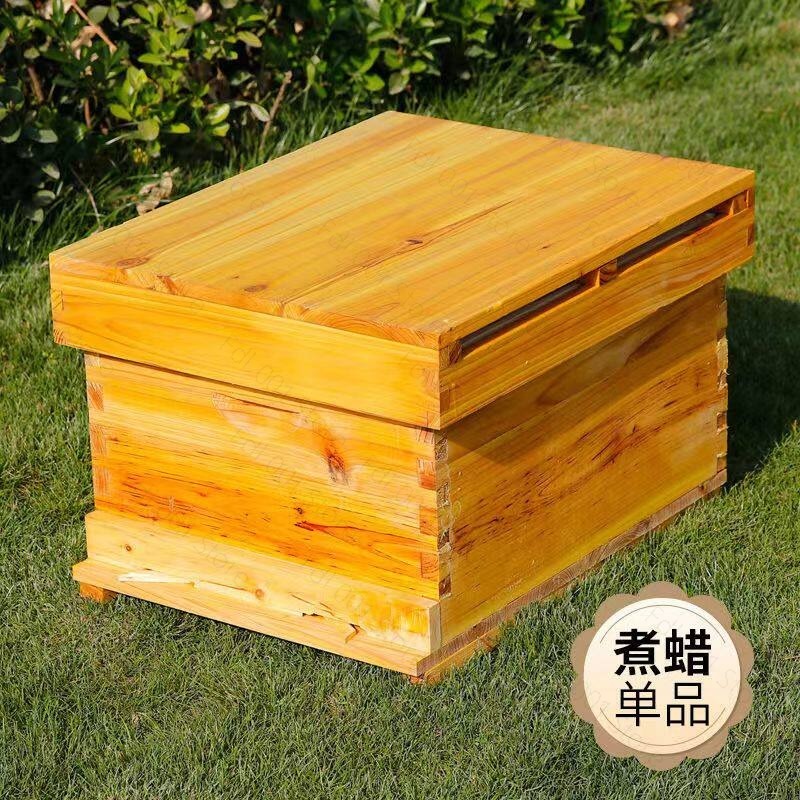 طقم خلية نحل كامل 10 إطارات مط - مراجعة Beehive Frame Wax وسعره