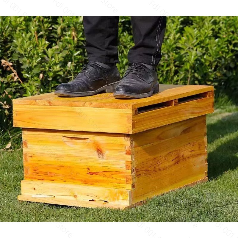 طقم خلية نحل كامل 10 إطارات مط - مراجعة Beehive Frame Wax وسعره