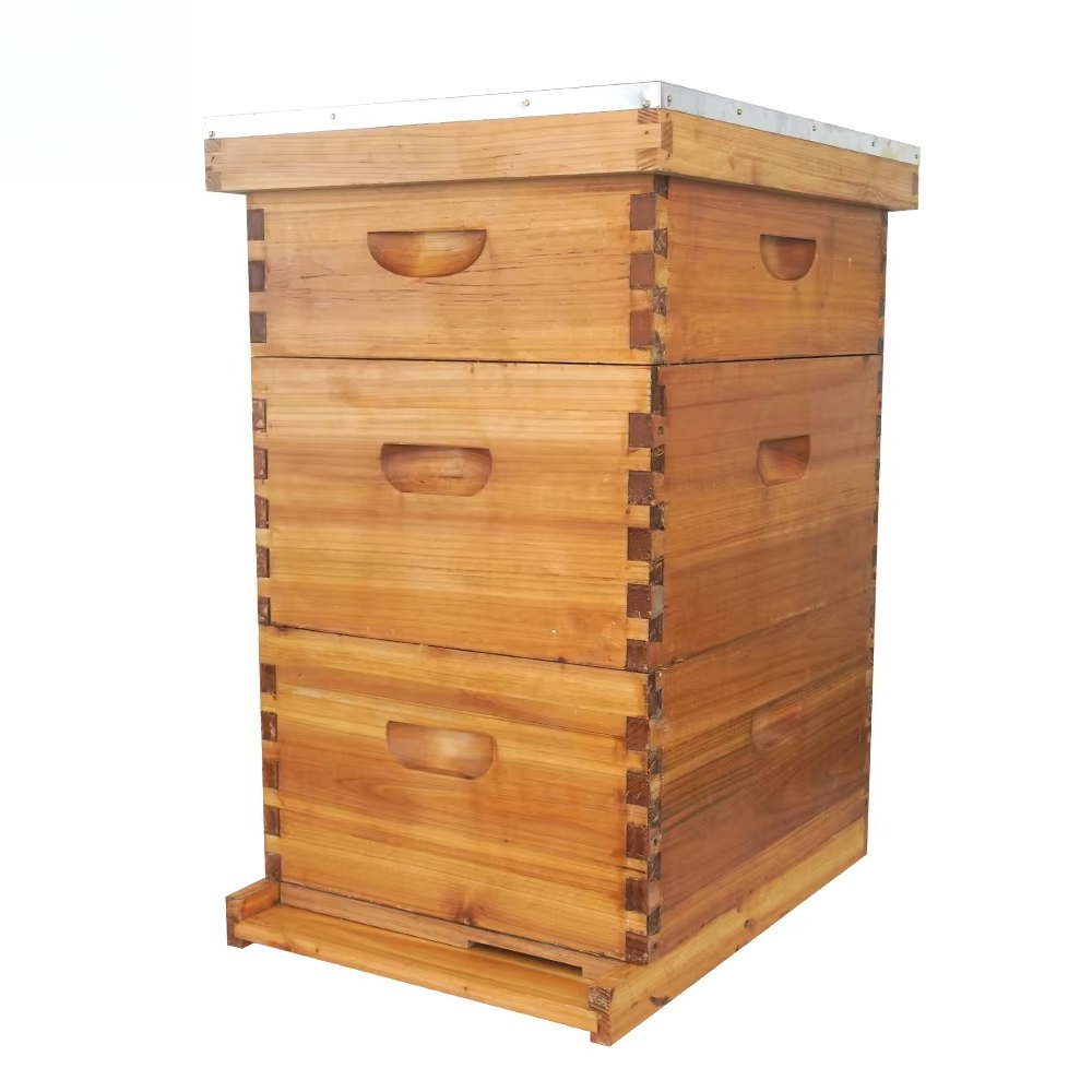 خلية نحل لانجستروث كاملة من 3  - مراجعة Beehive Frame Wax وسعره