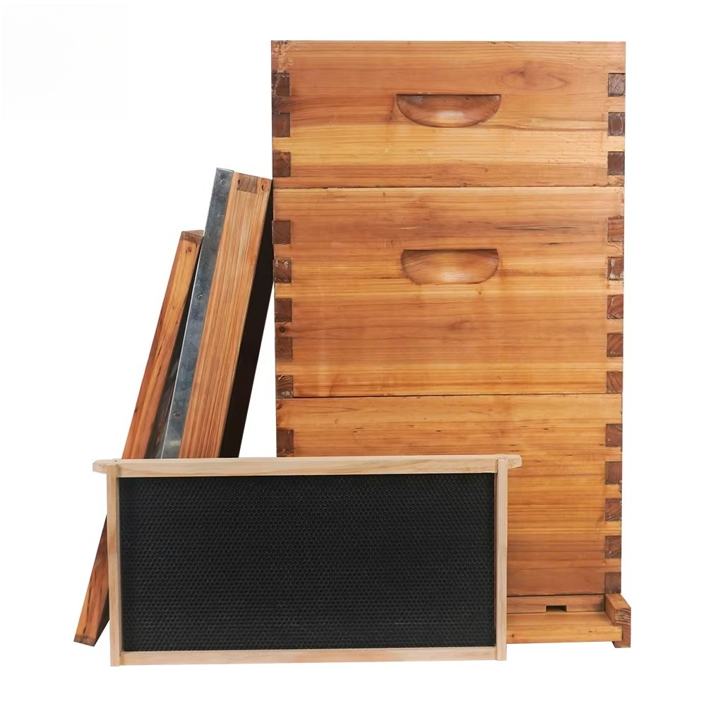 خلية نحل لانجستروث كاملة من 3  - مراجعة Beehive Frame Wax وسعره