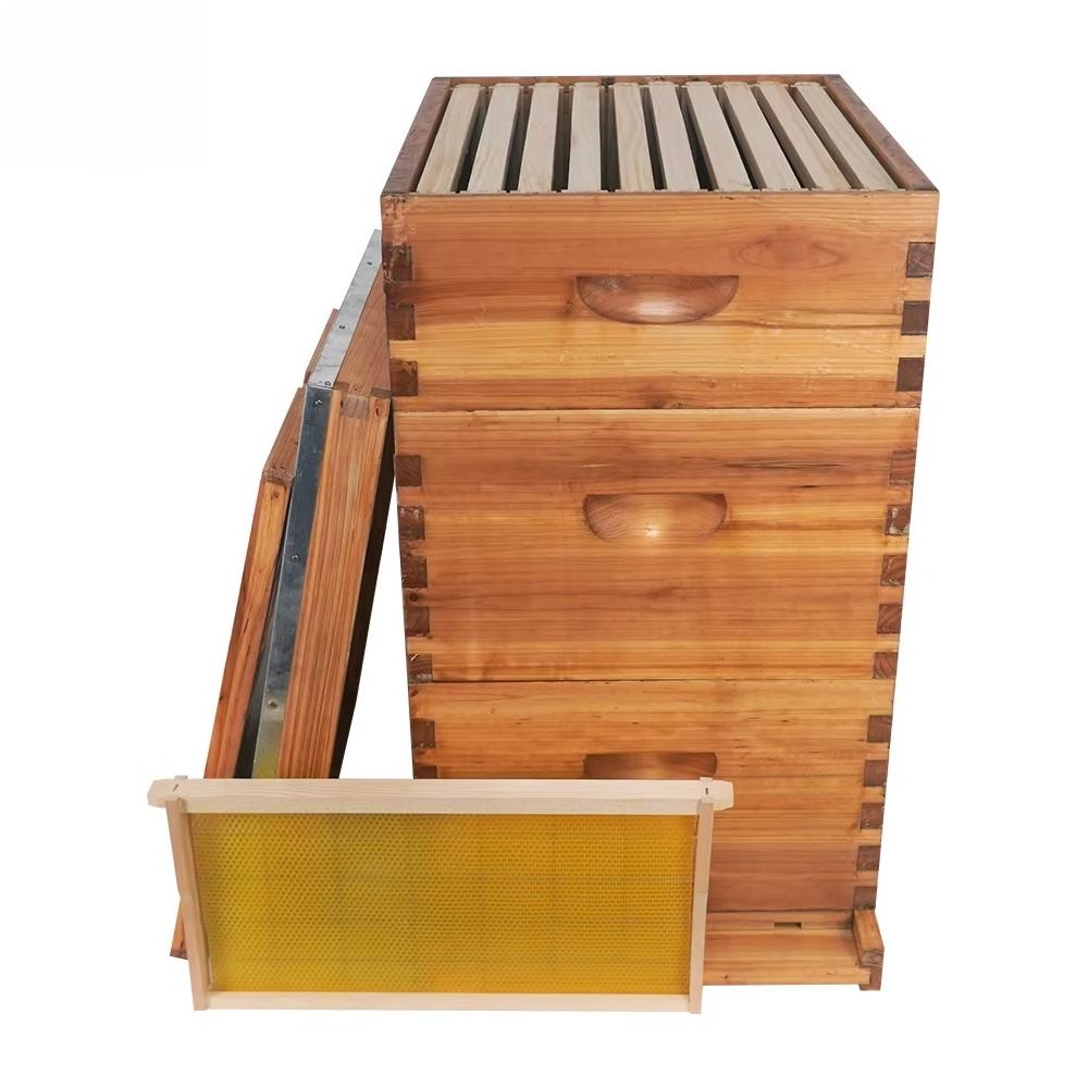 خلية نحل لانجستروث كاملة من 3  - مراجعة Beehive Frame Wax وسعره