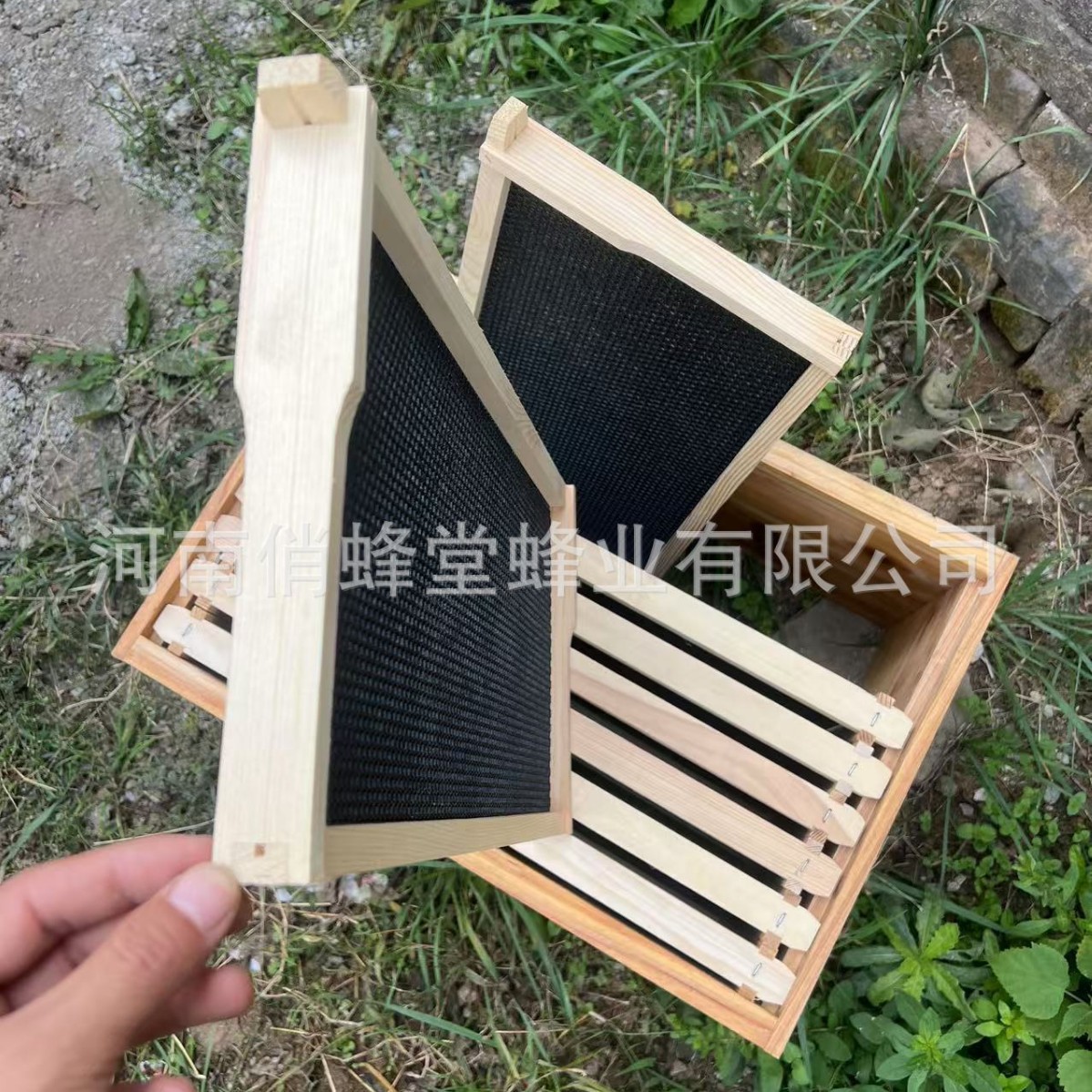 أدوات تربية النحل: قاعدة خلية  - مراجعة Beehive Frame Wax وسعره