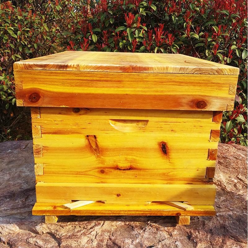 مجموعة كاملة من أدوات تربية ال - مراجعة Beehive Frame Wax وسعره