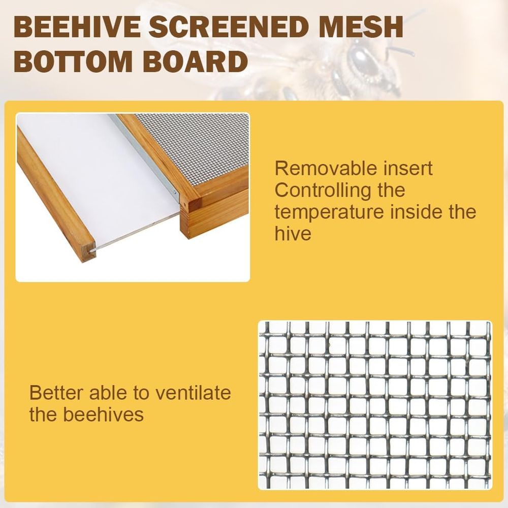 طقم خلية نحل بـ 10 إطارات مع ق - مراجعة Beehive Frame Wax وسعره