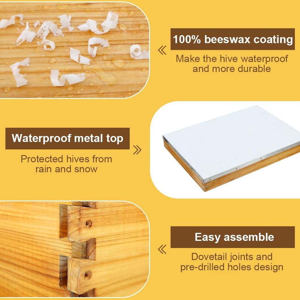 طقم خلية نحل بـ 10 إطارات مع ق - مراجعة Beehive Frame Wax وسعره