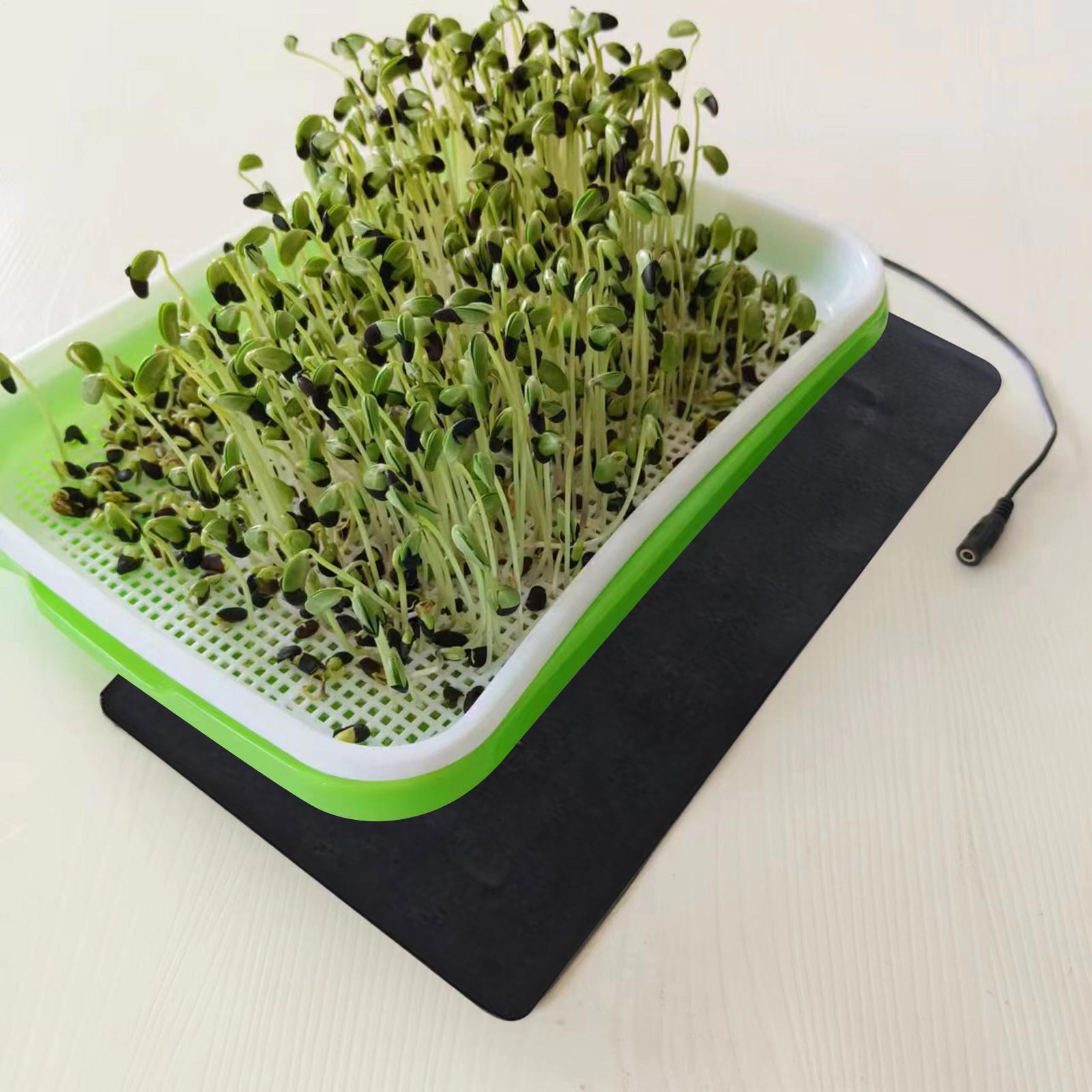 بساط حراري للشتلات بقوة 8.5 وا - مراجعة Seedling Heat Mat وسعره