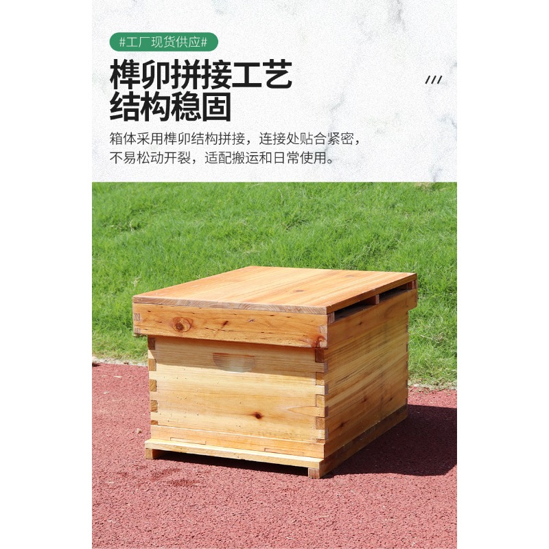 صندوق خلية نحل من خشب التنوب ب - مراجعة Beehive Frame Wax وسعره