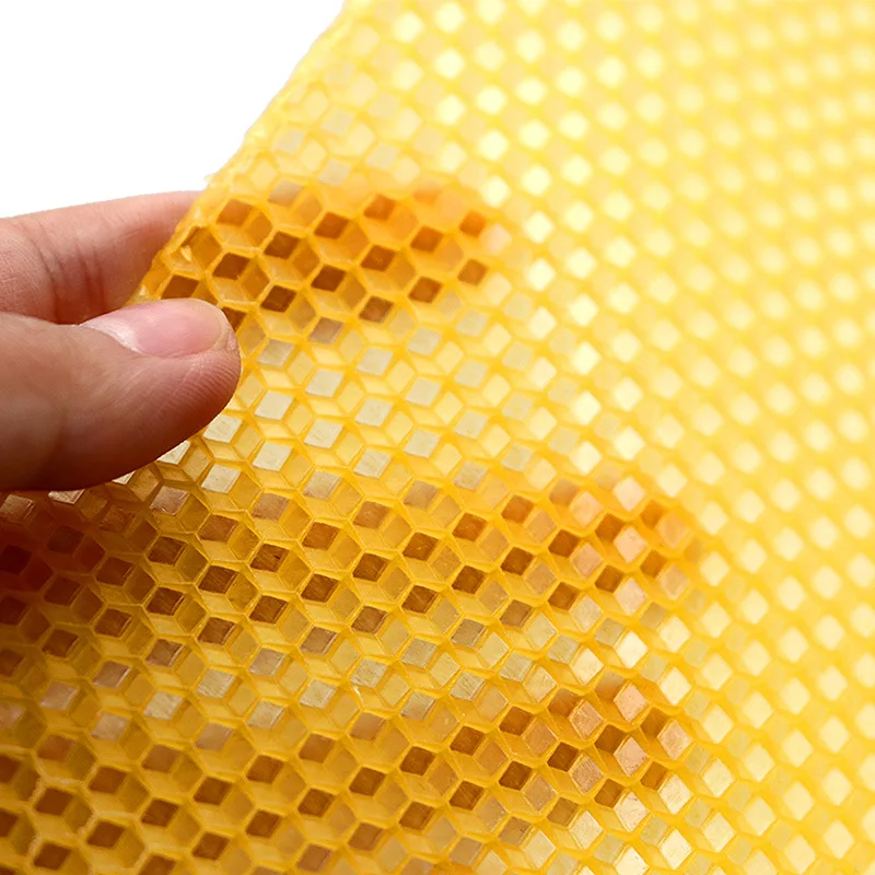 30 قطعة/الحزمة مشط النحل الأسا - مراجعة Beehive Frame Wax وسعره