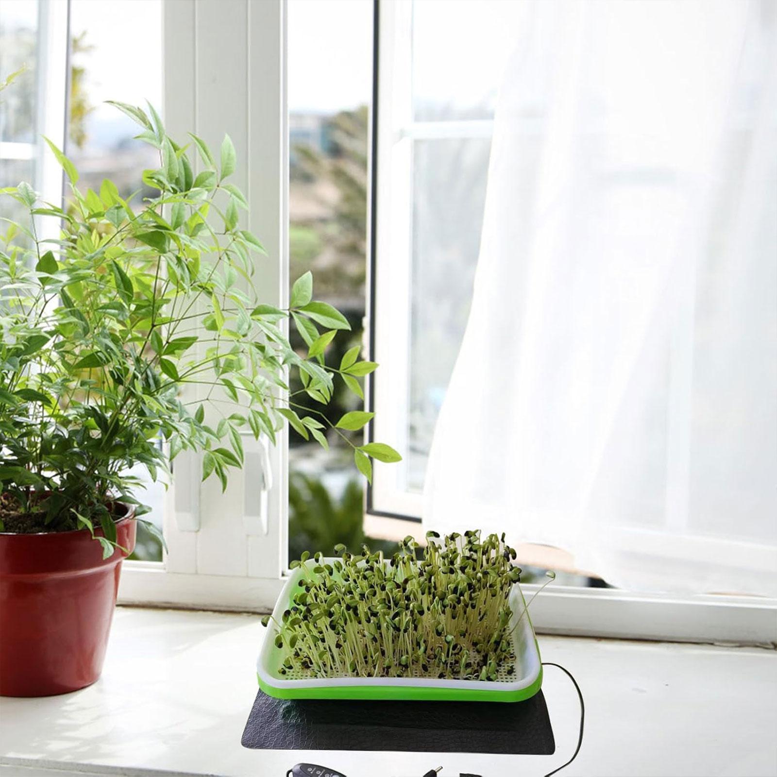 بساط حراري للزراعة المائية لتك - مراجعة Seedling Heat Mat وسعره