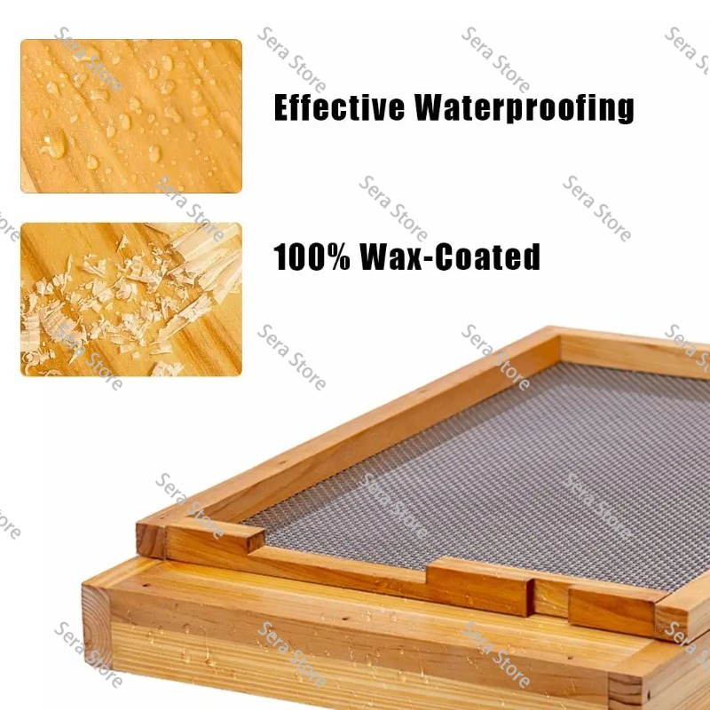 عشرة إطارات من خلايا النحل مثب - مراجعة Beehive Frame Wax وسعره