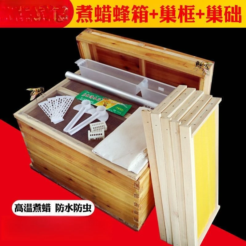 خلية نحل من شمع مغلي بعشرة إطا - مراجعة Beehive Frame Wax وسعره